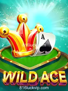 Explorando o Mundo Empolgante de WildAce